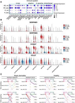 Non-IgE-reactive allergen peptides deteriorate the skin barrier in house dust mite-sensitized atopic dermatitis patients